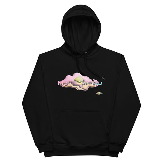 MOST WANTED CLOUDS🌨️🌨️ HOODIE #4 ⭐⭐⭐