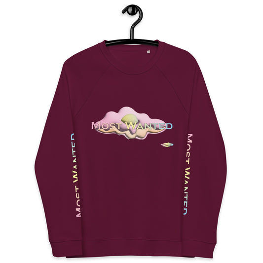 MOST WANTED CLOUDS 🌨️🌨️SWEATER #1 ⭐⭐⭐